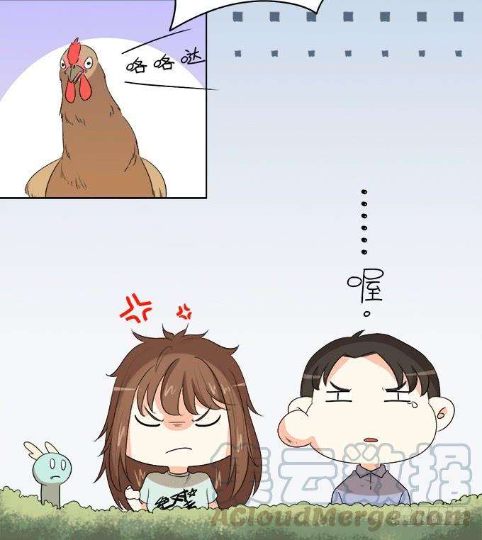 71.jpg