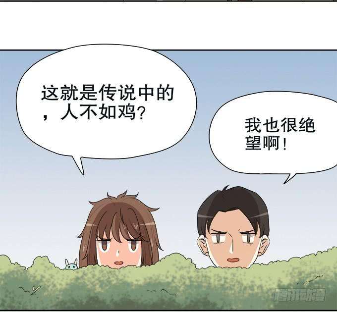 65.jpg