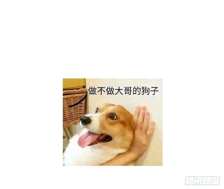 70.jpg