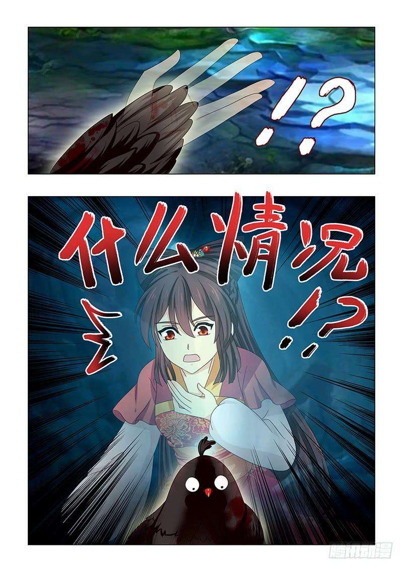 13.jpg