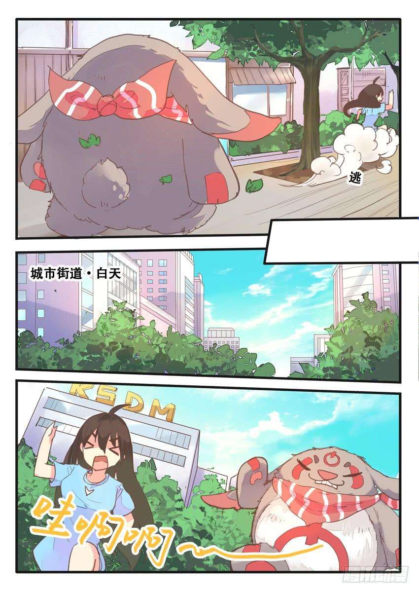 5.jpg