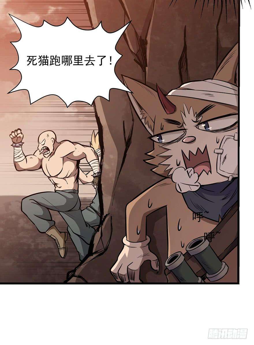 48.jpg