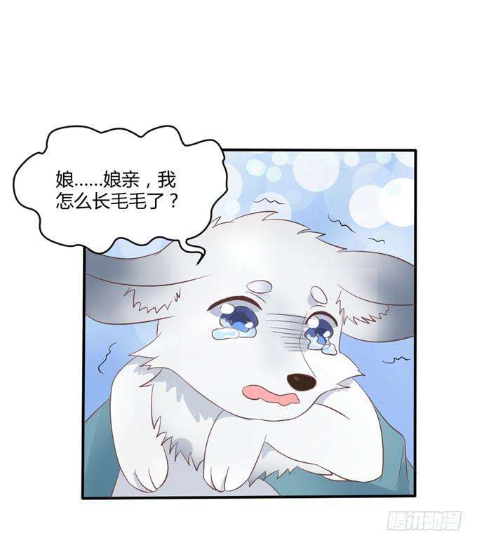 51.jpg