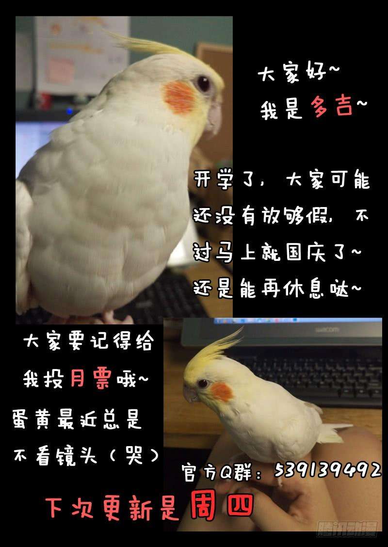 11.jpg