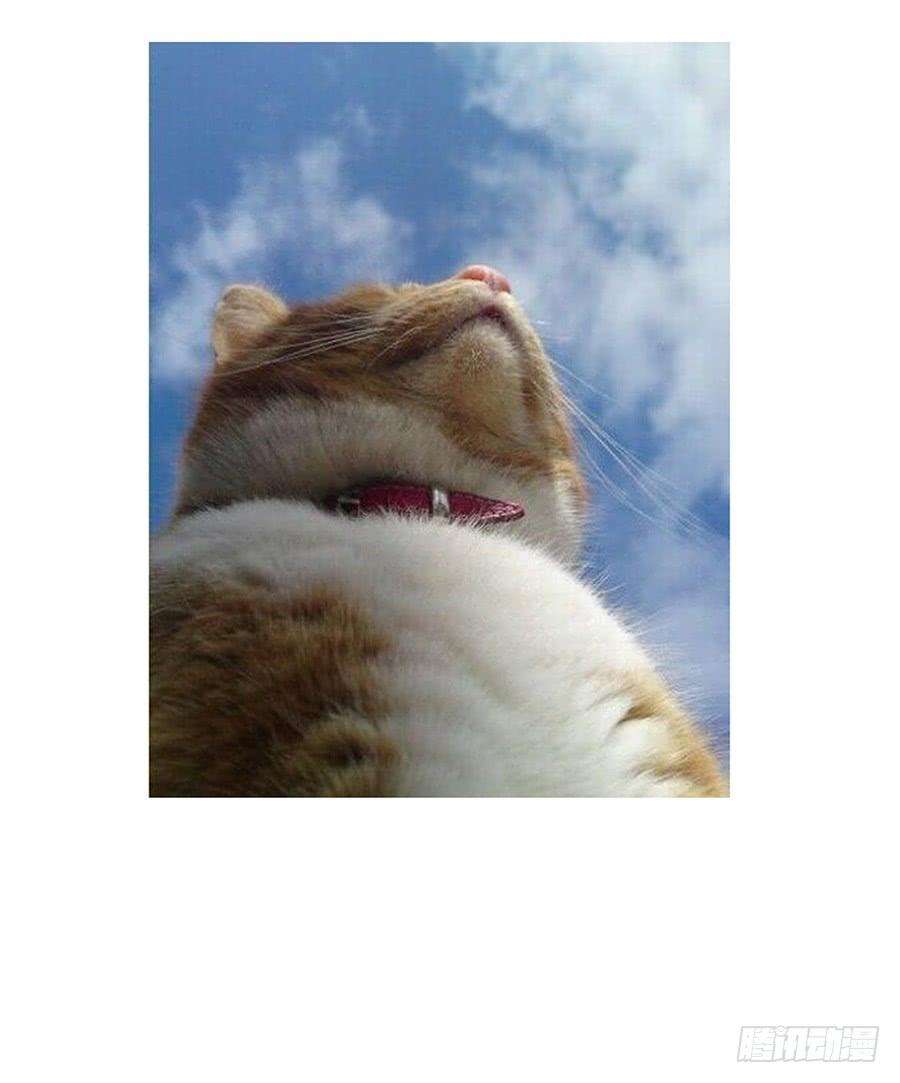 111.jpg