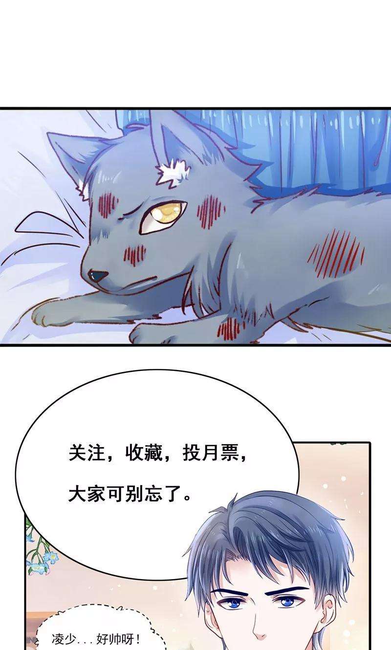 21.jpg
