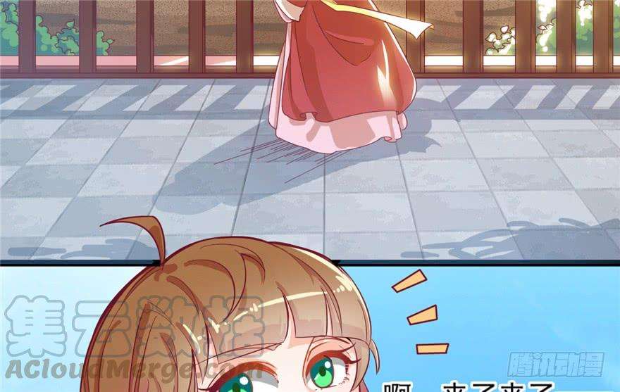 33.jpg