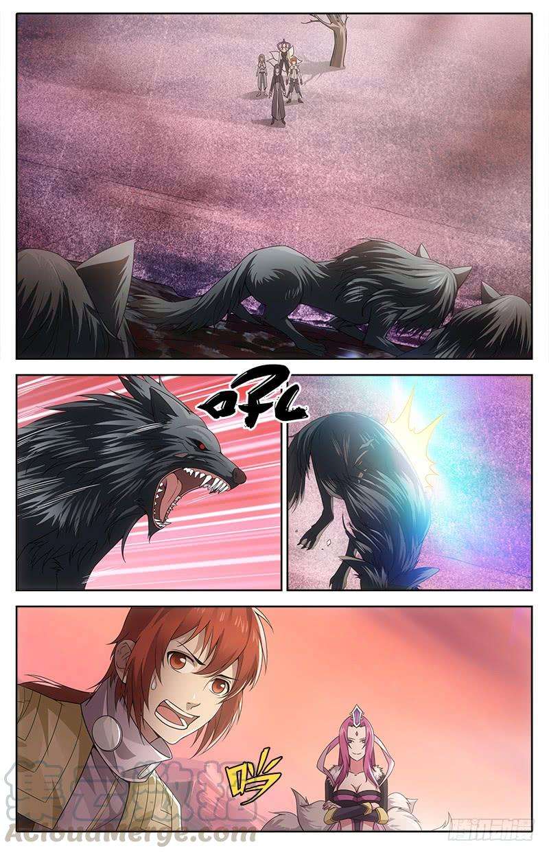 5.jpg