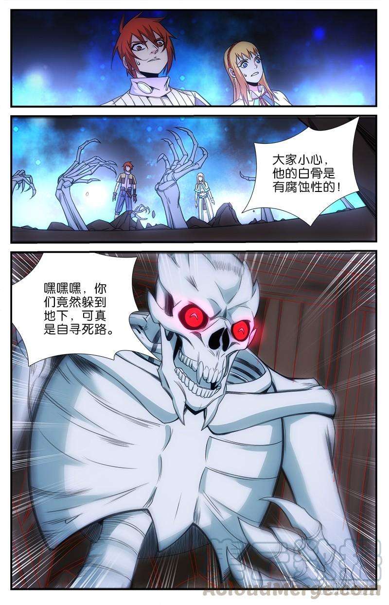 5.jpg