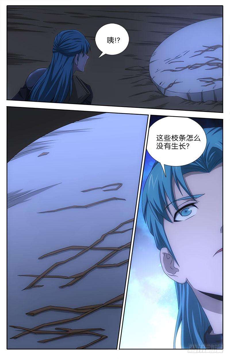 6.jpg