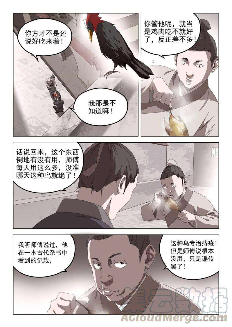 9.jpg