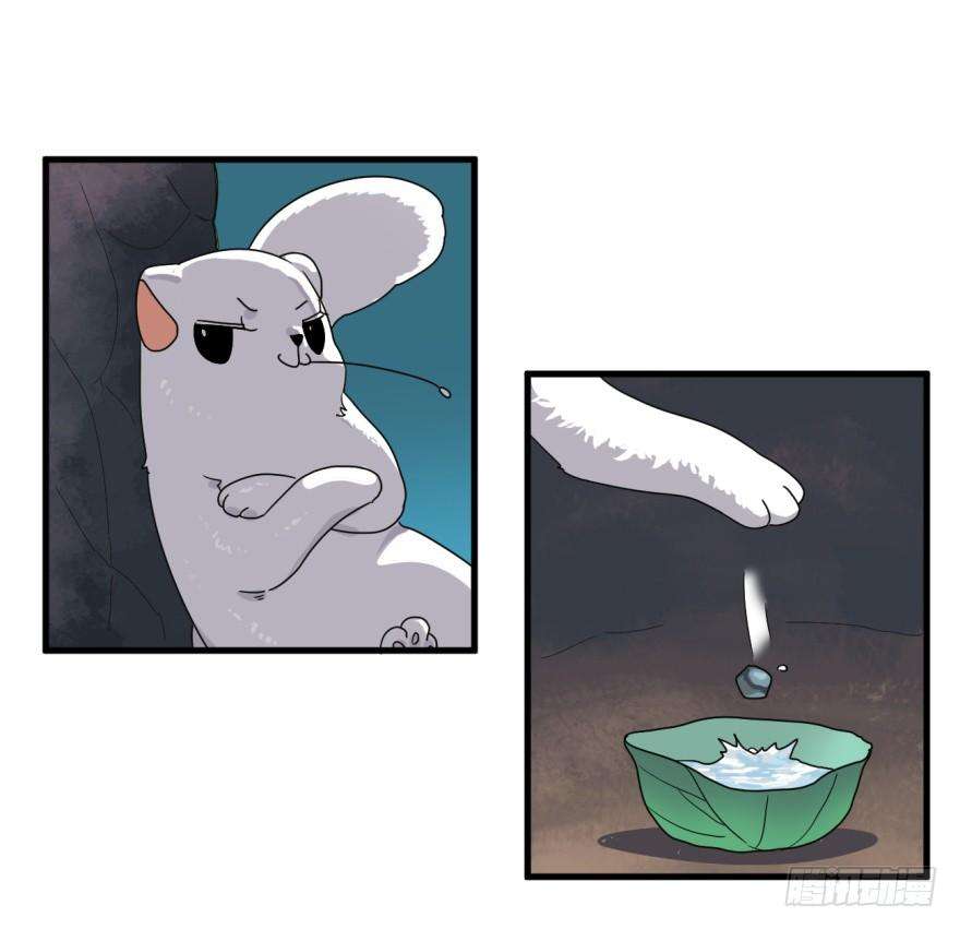 46.jpg