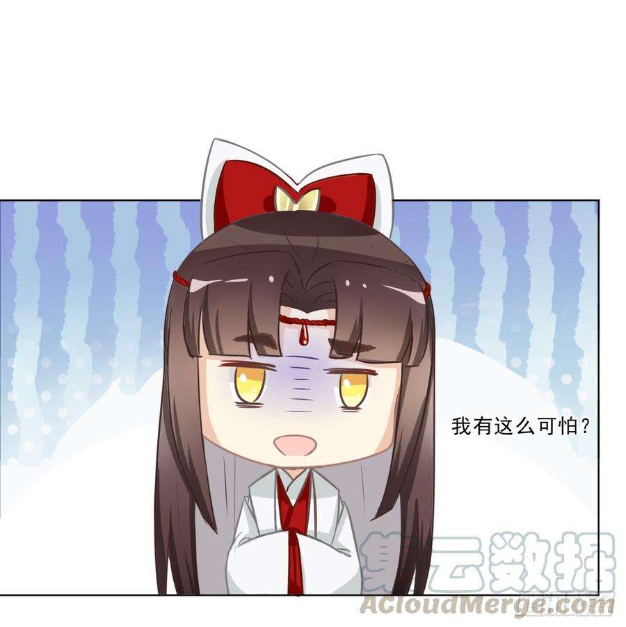 41.jpg