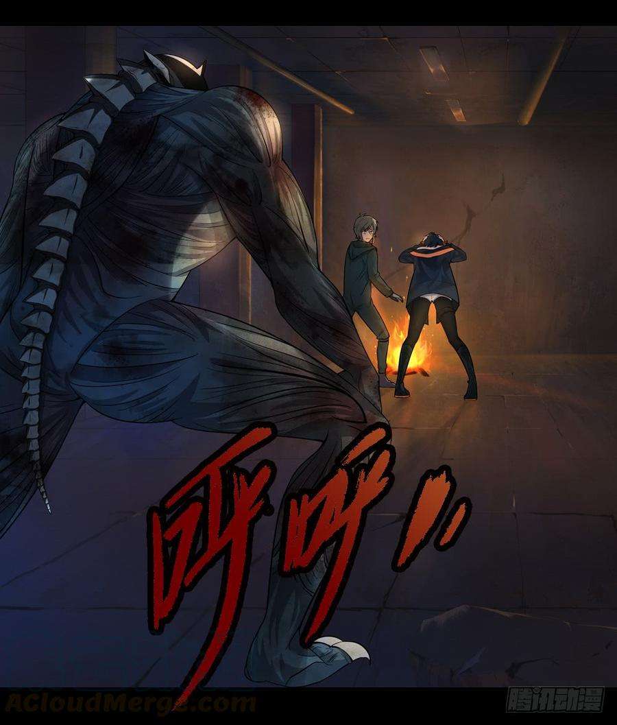 17.jpg