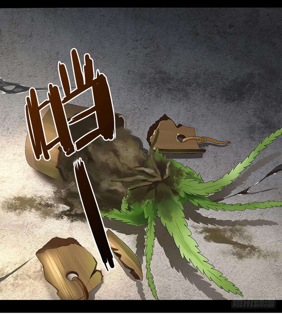 40.jpg