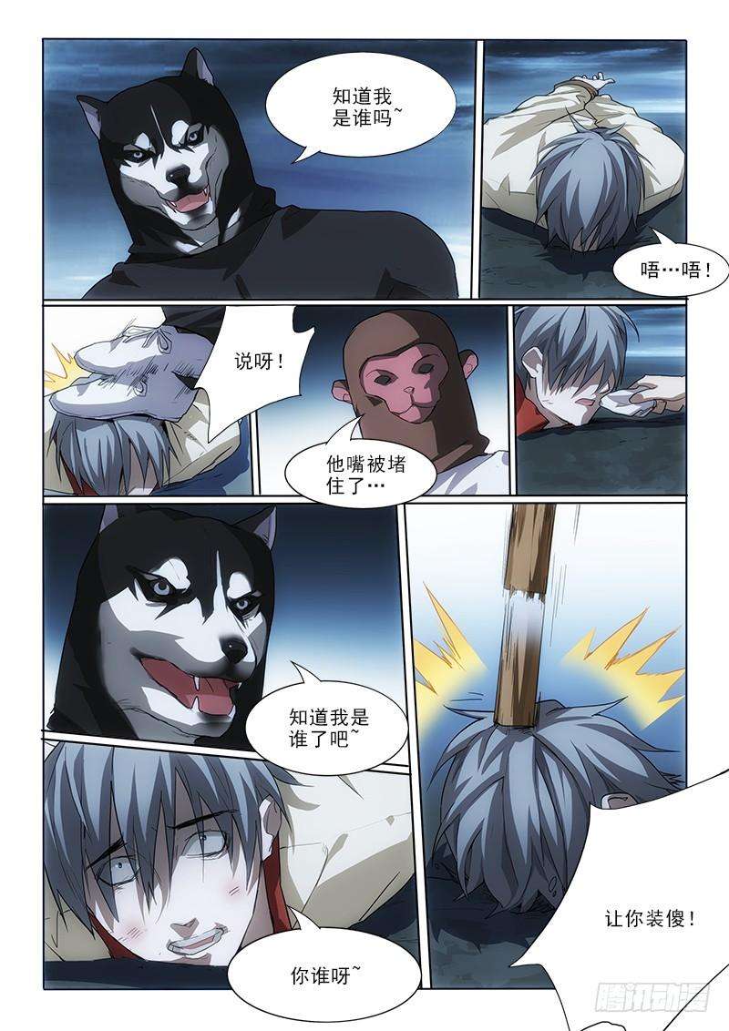 5.jpg