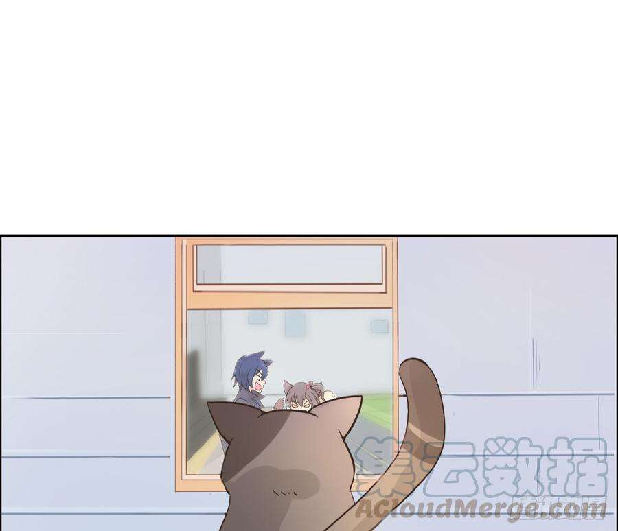 51.jpg
