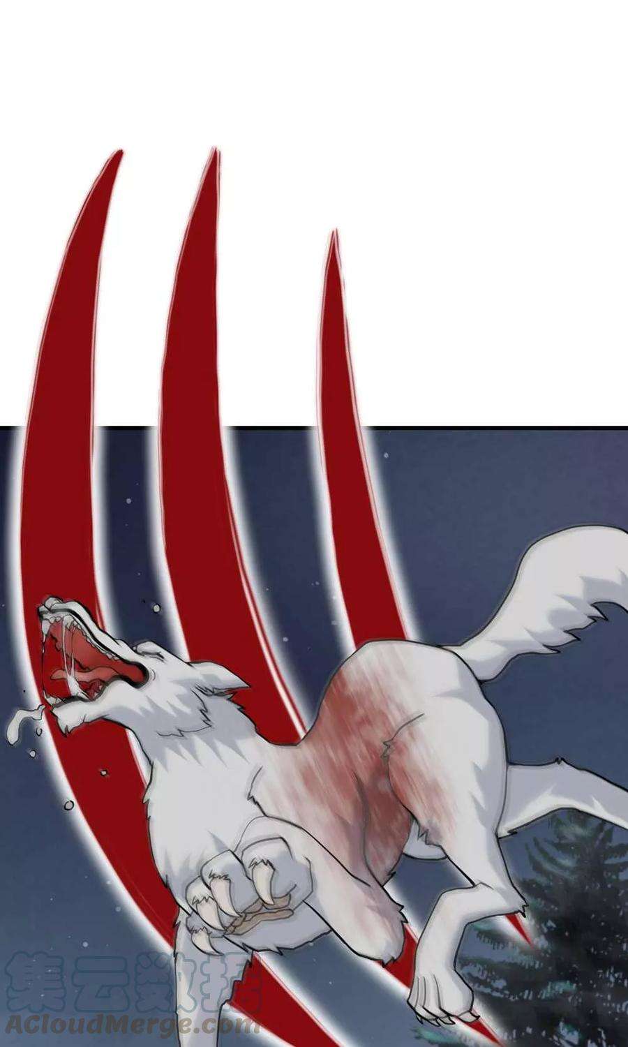 41.jpg