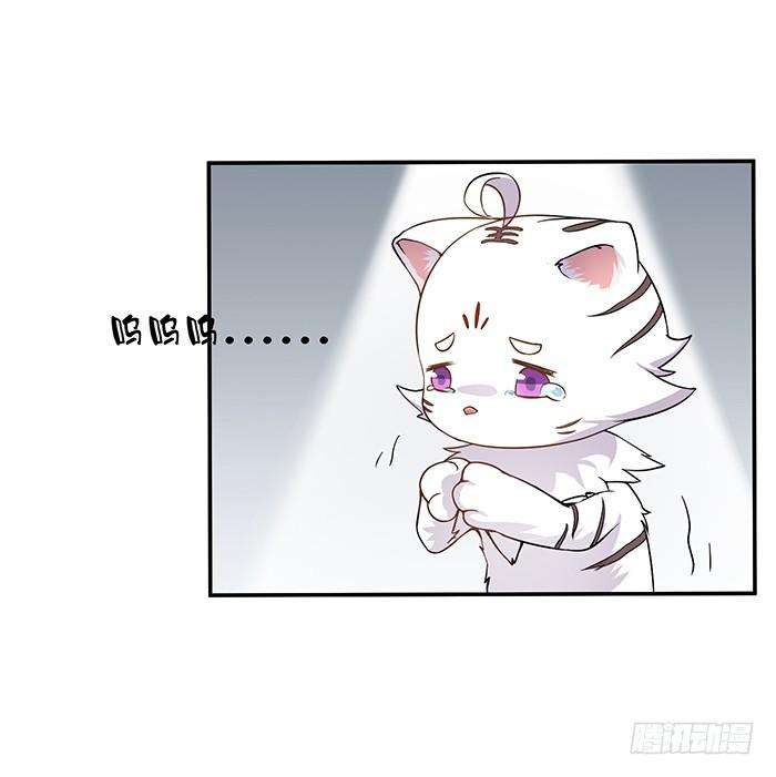 55.jpg
