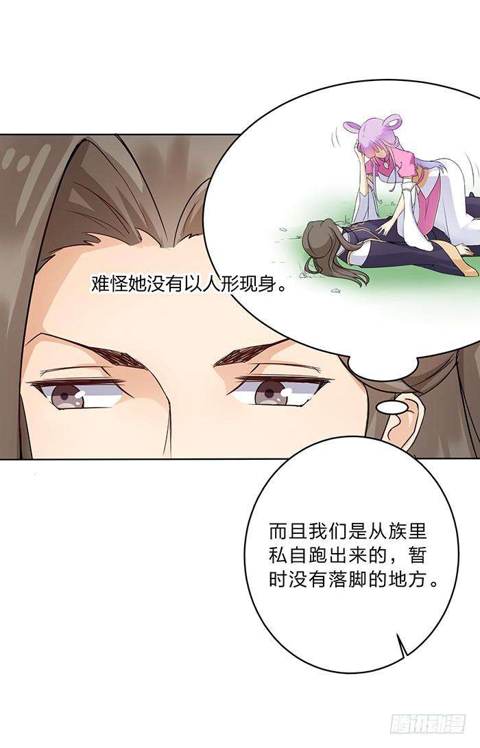 35.jpg