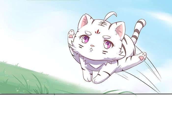 26.jpg