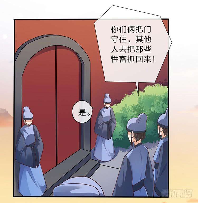 23.jpg