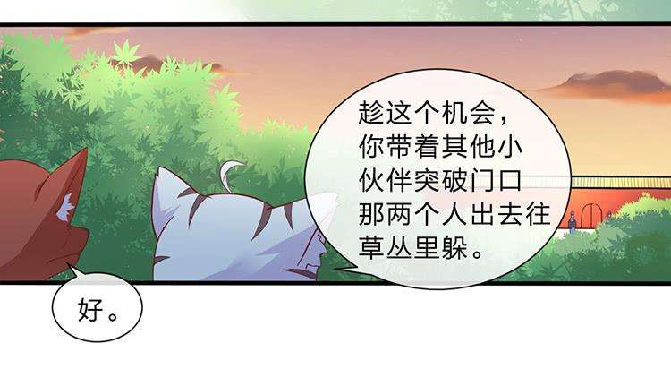 35.jpg
