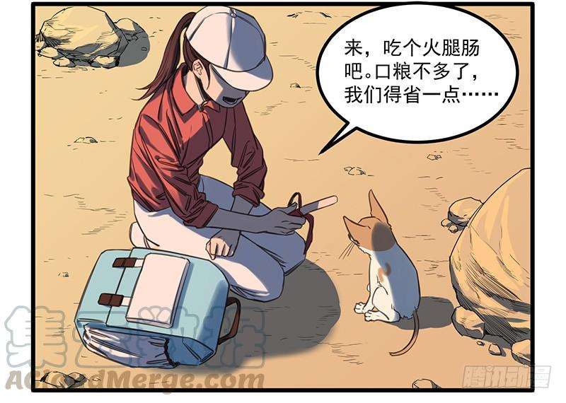 17.jpg
