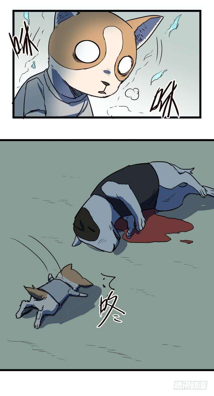 16.jpg