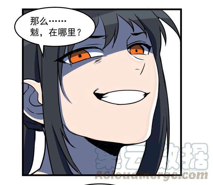 41.jpg