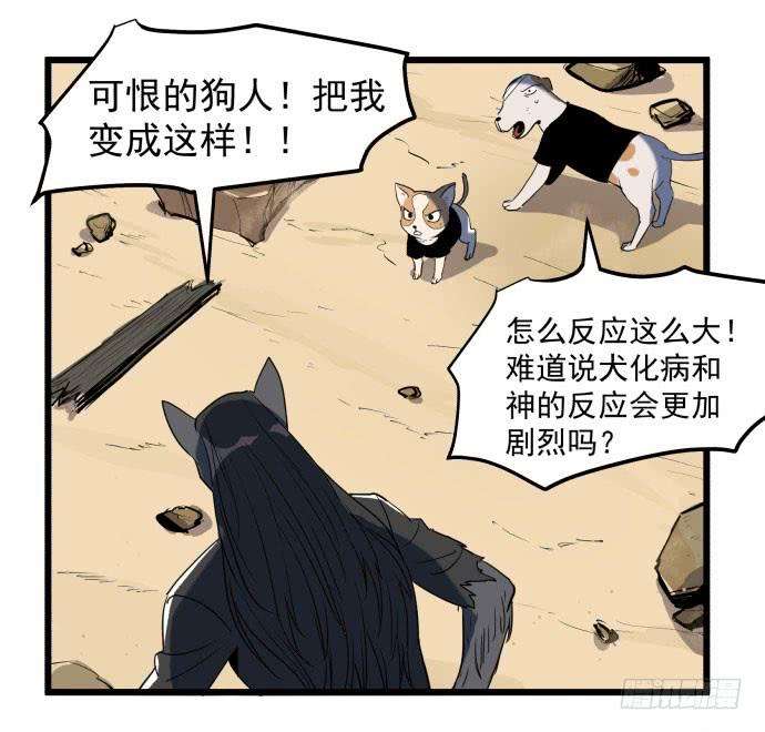 35.jpg
