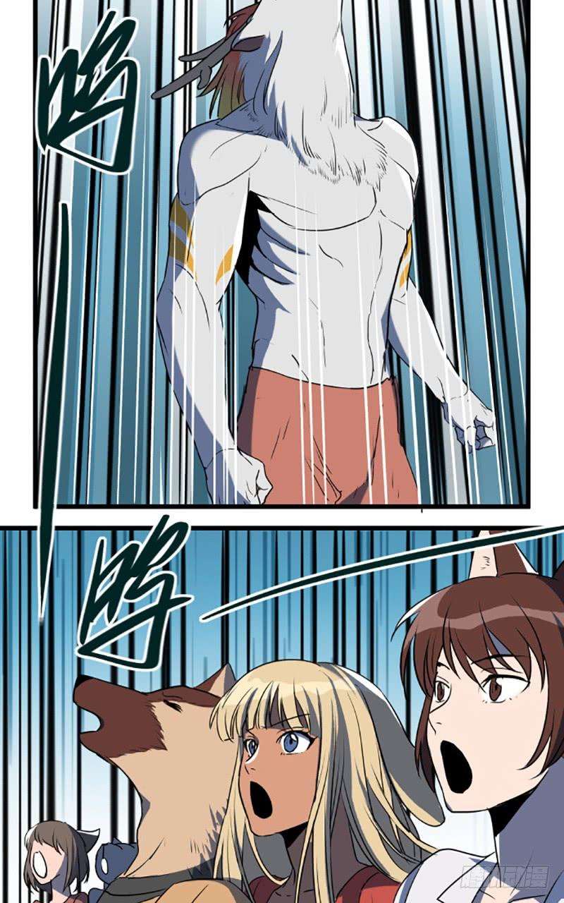 15.jpg