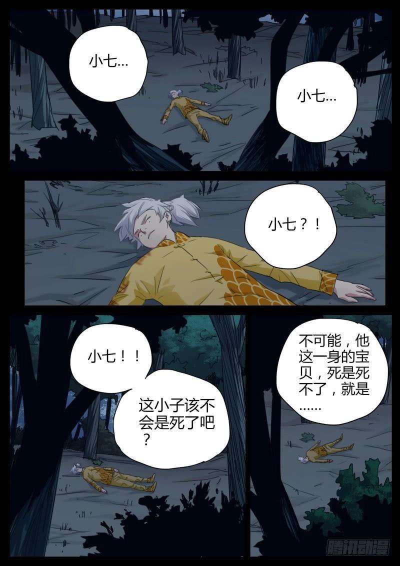 7.jpg