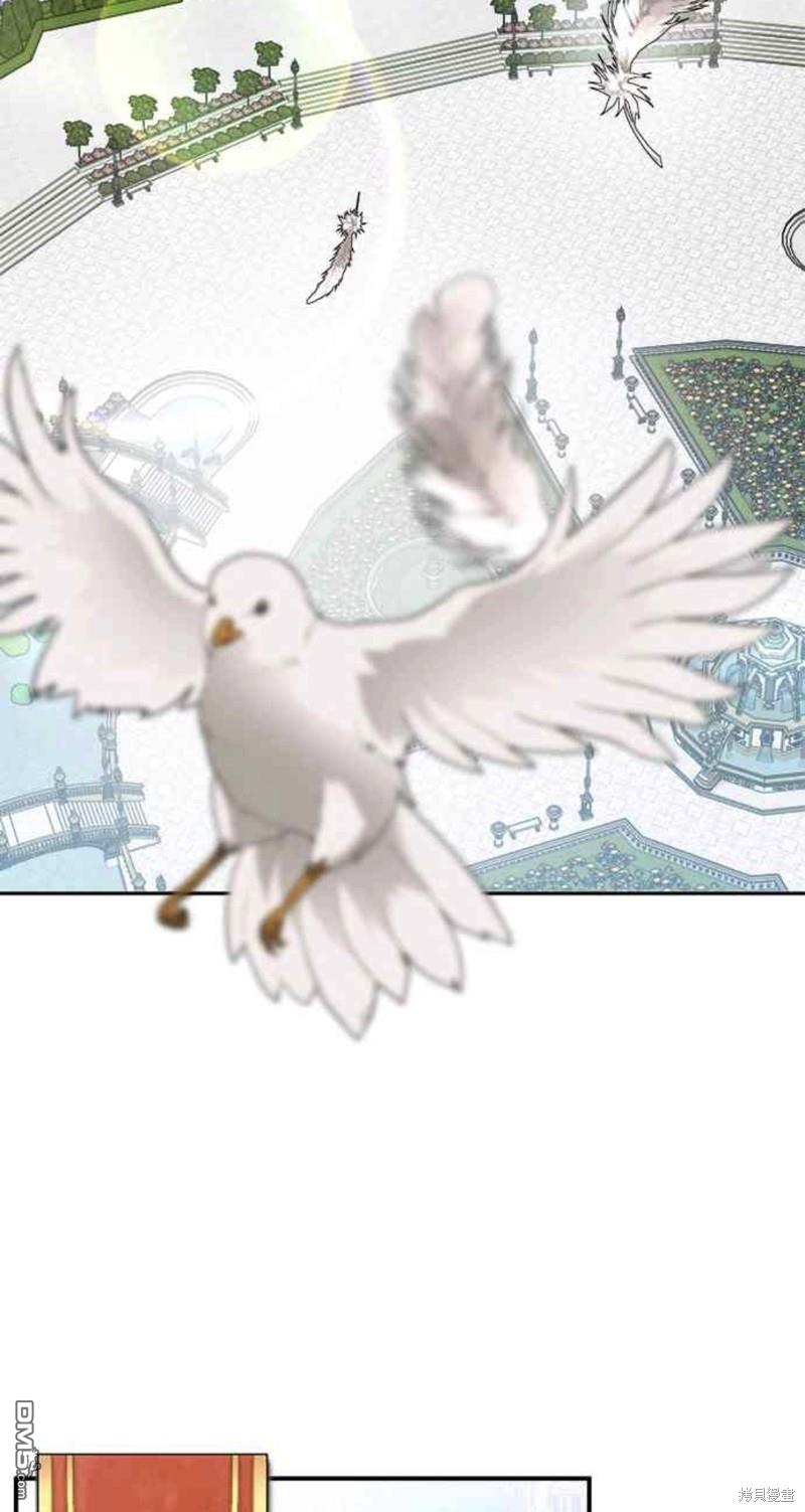 63.jpg
