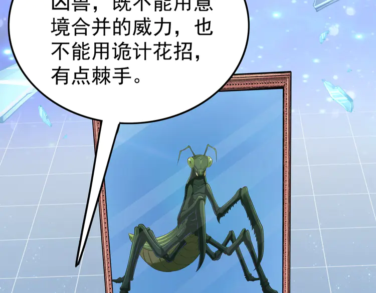 78.jpg