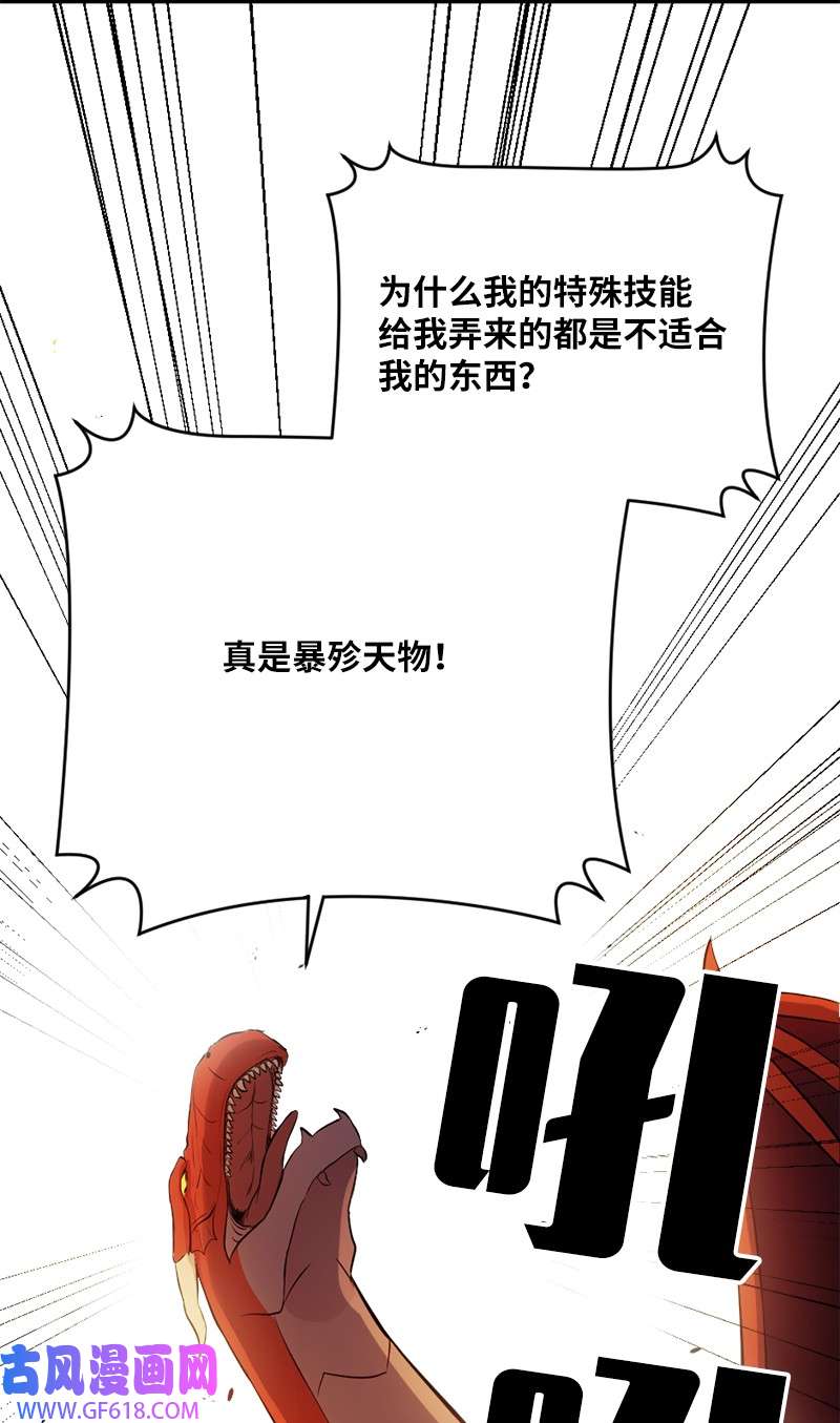 43.jpg