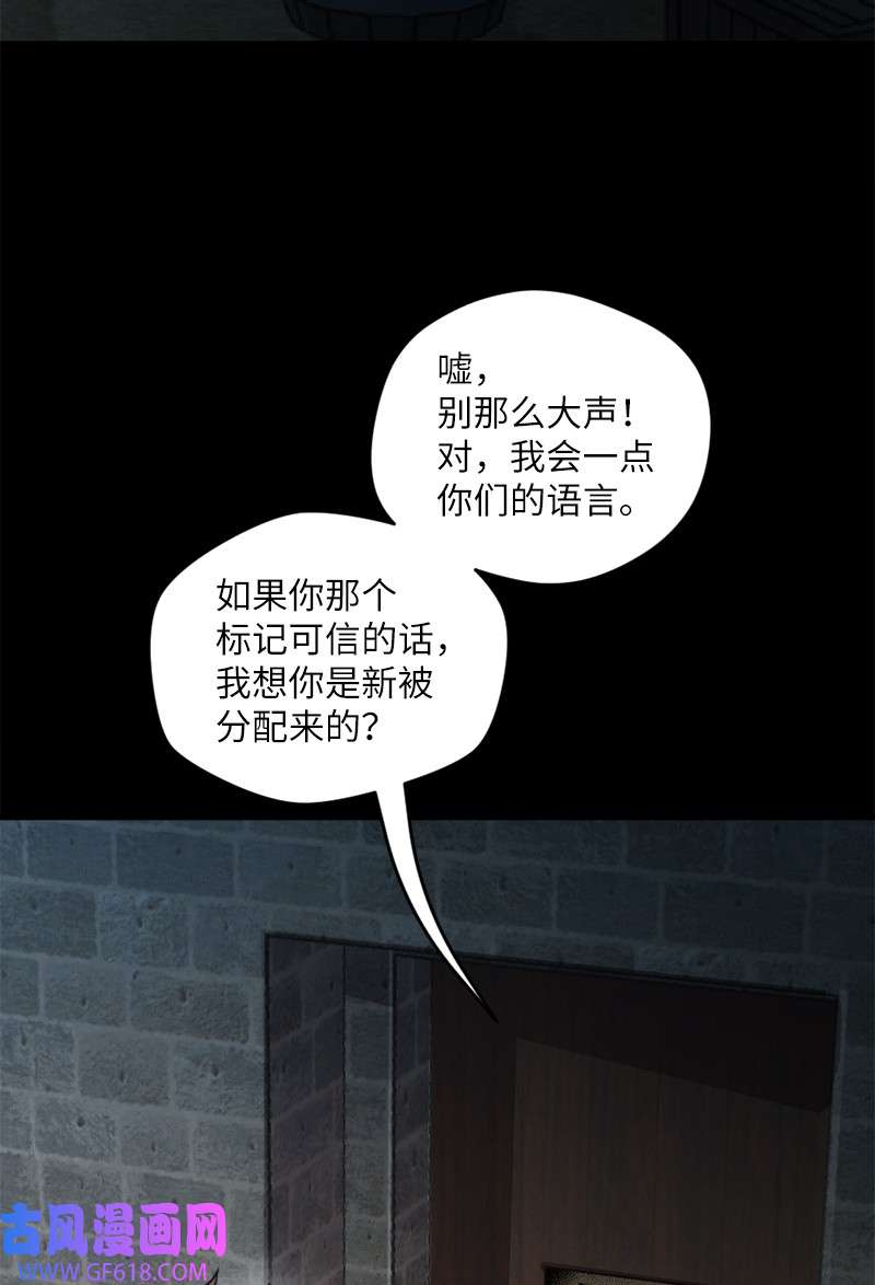 51.jpg