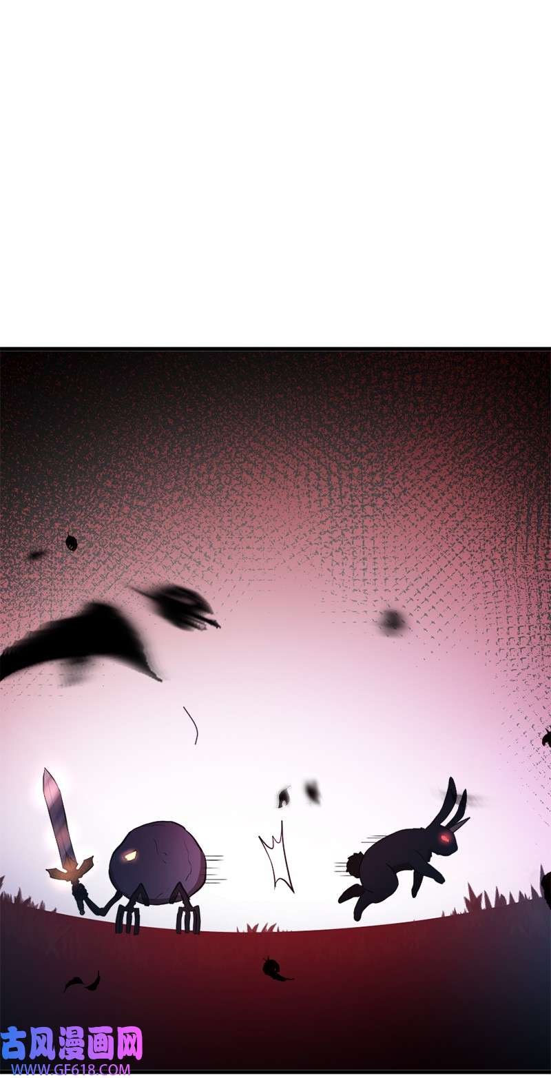 64.jpg