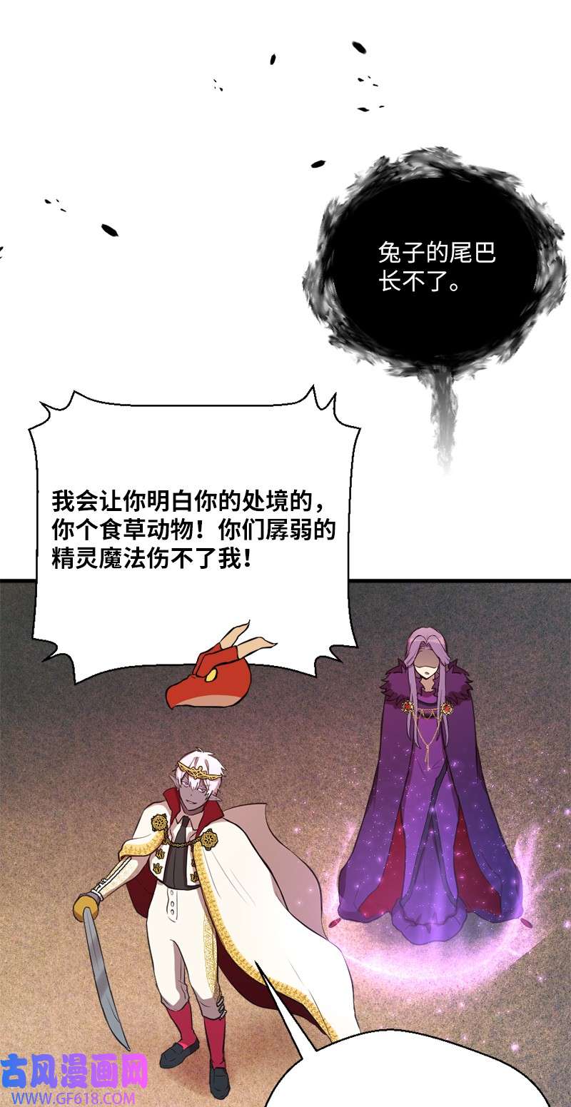 77.jpg