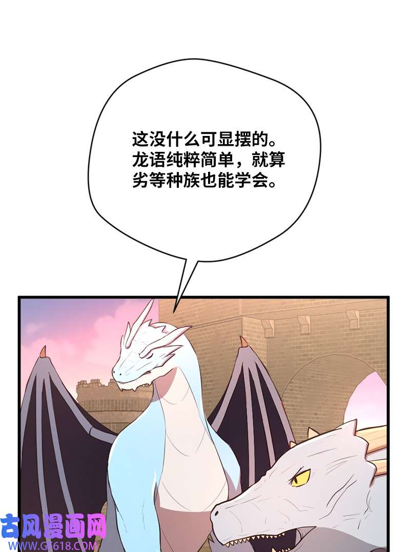 48.jpg