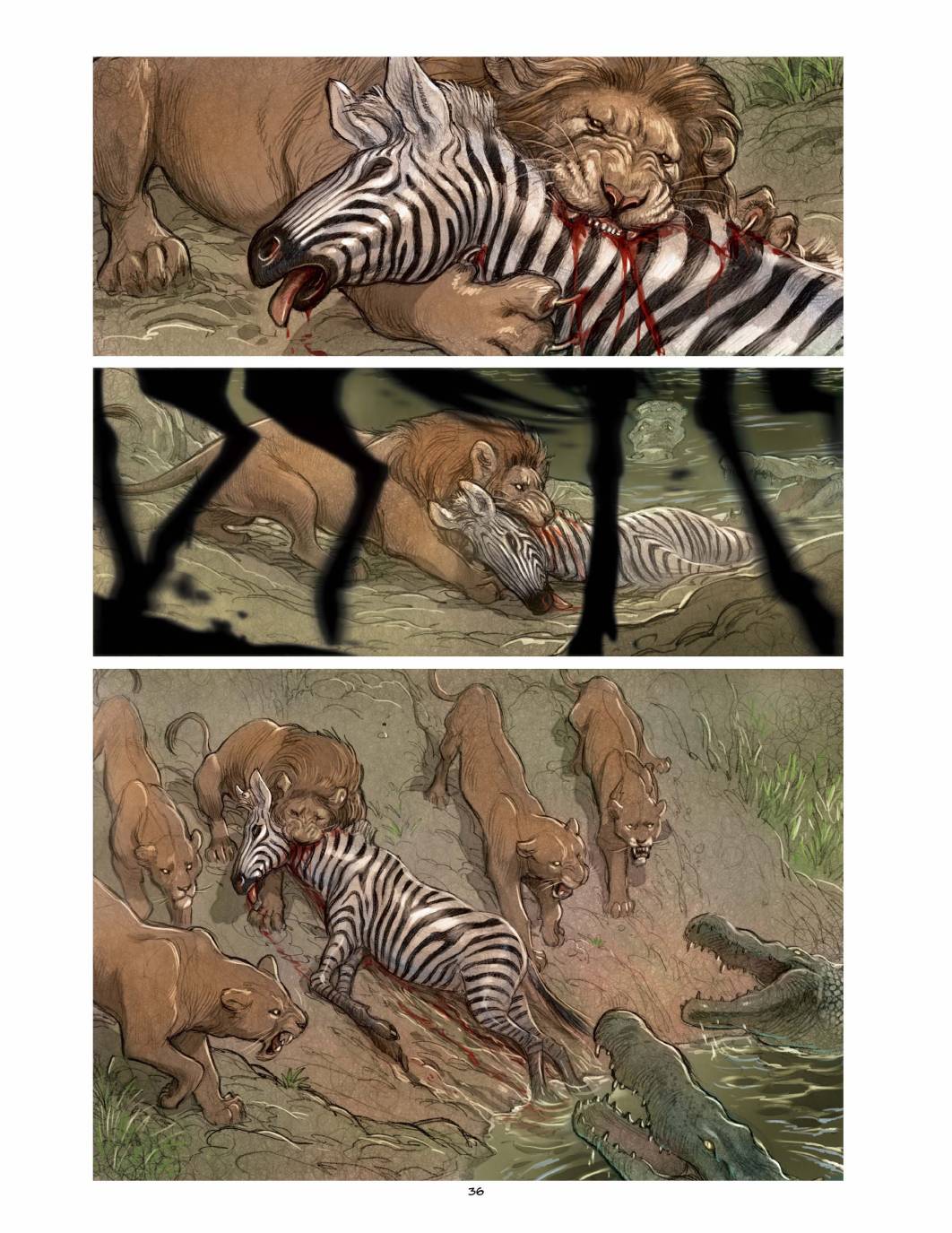 36.jpg