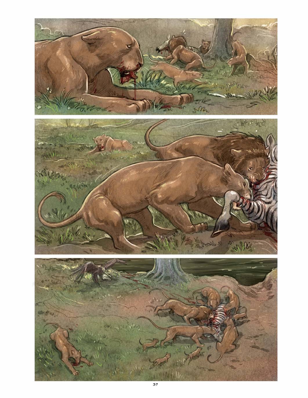 37.jpg