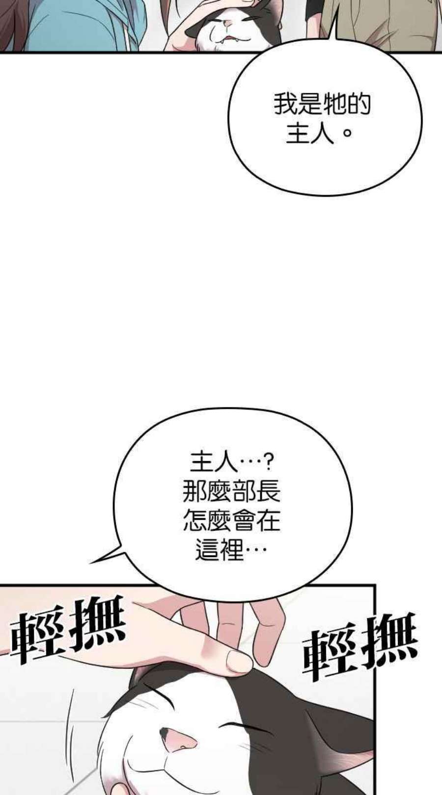 96.jpg