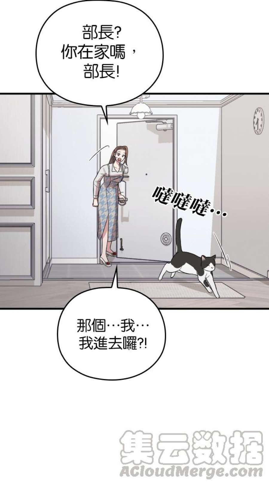 96.jpg