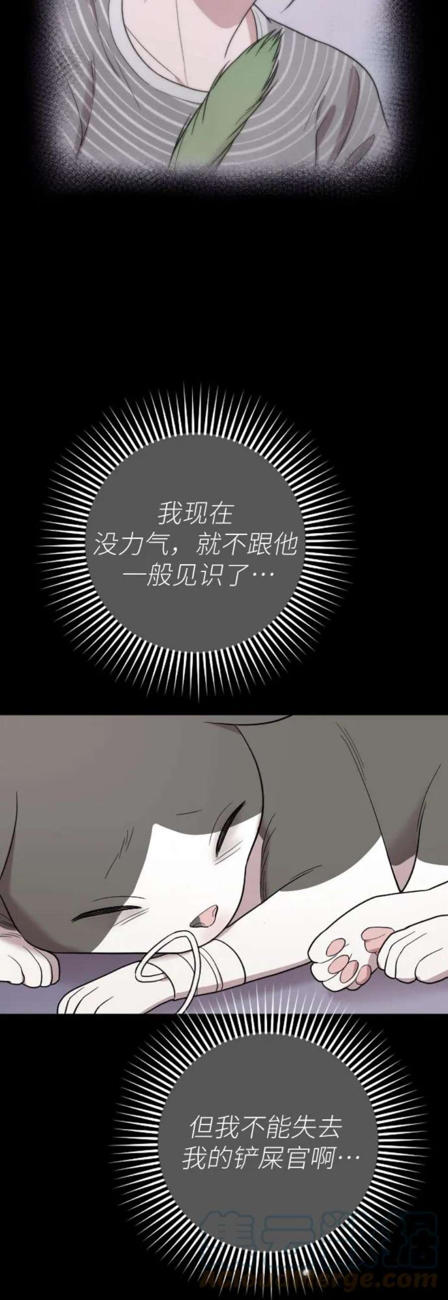 37.jpg