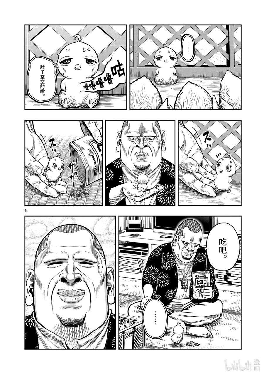 6.jpg