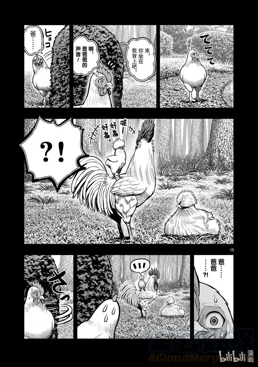 13.jpg