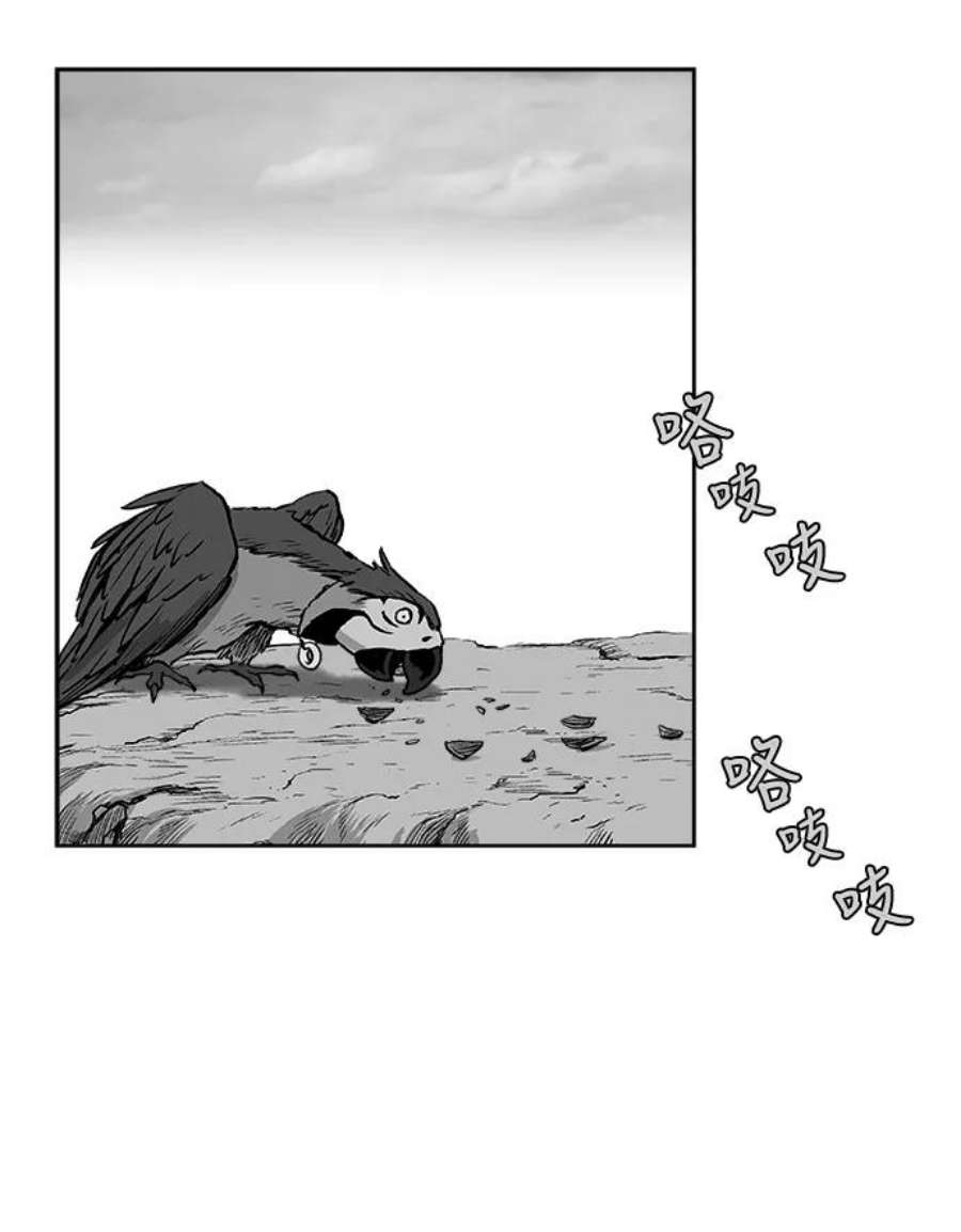 78.jpg