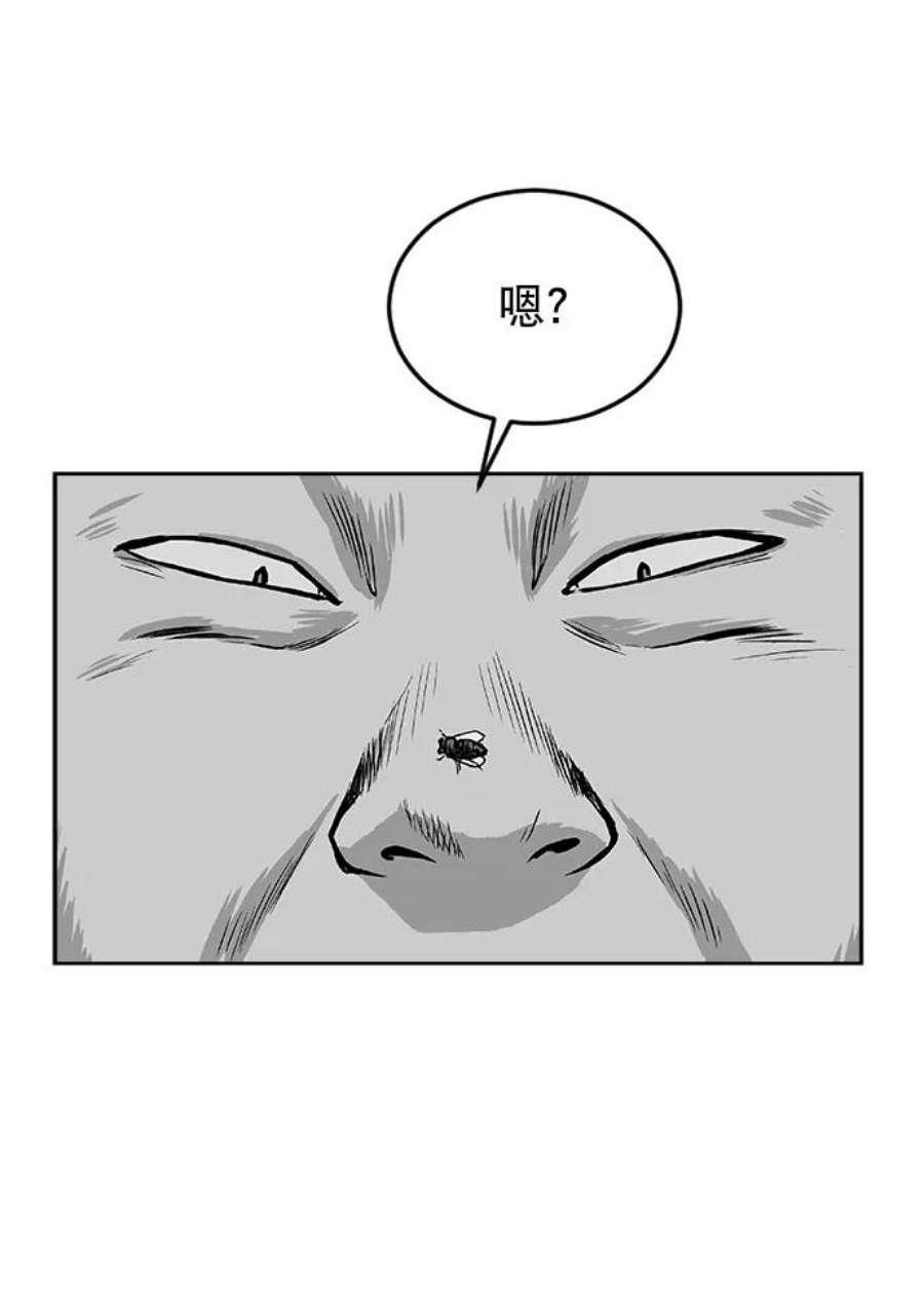 34.jpg
