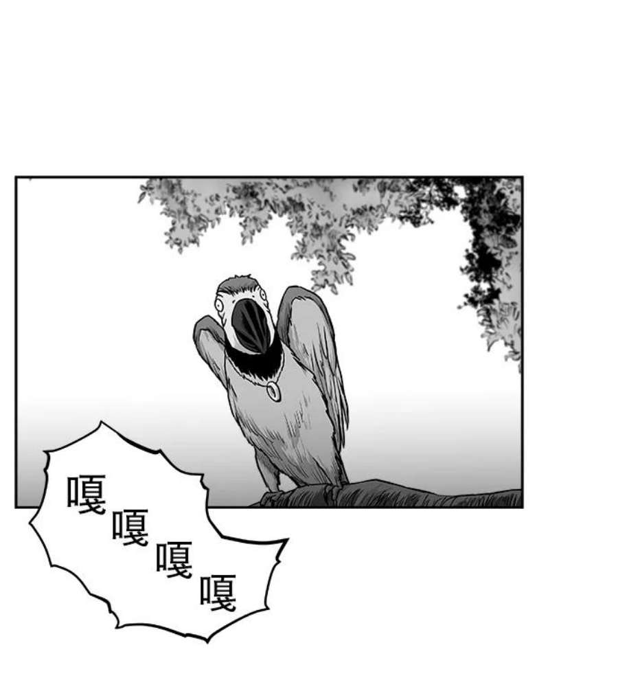 51.jpg